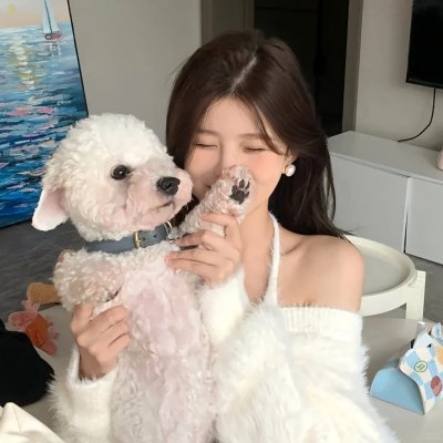 斗气俏寃家